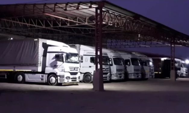 Mega Çukurova Kargo,sektörde ilk sıralara yükseldi…